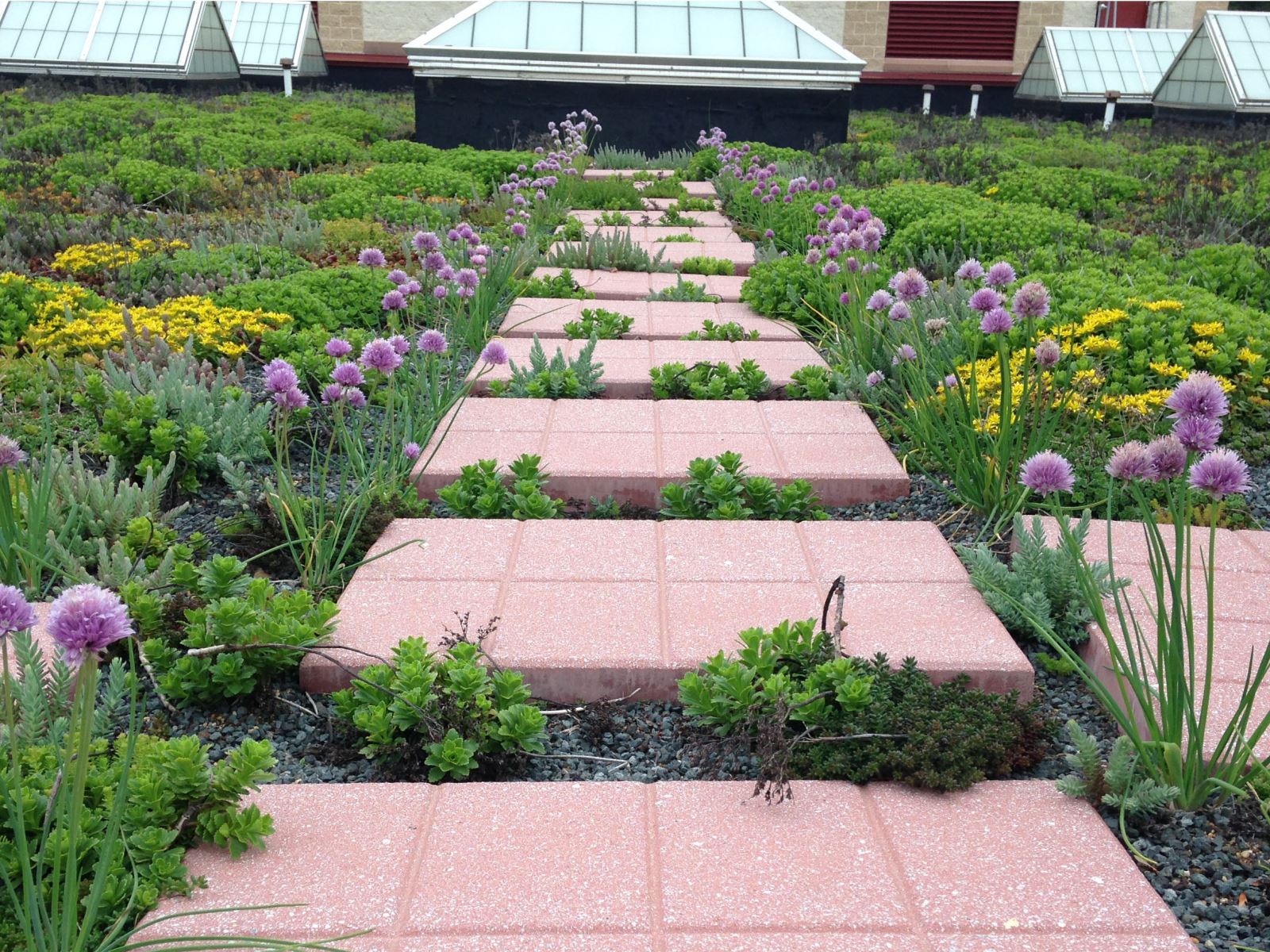 Green Roofs