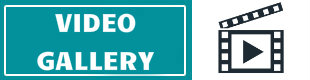 Video Gallery